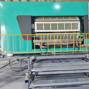 New Product For Family Small Business Egg Carton Egg Tray Making Machine Production Line