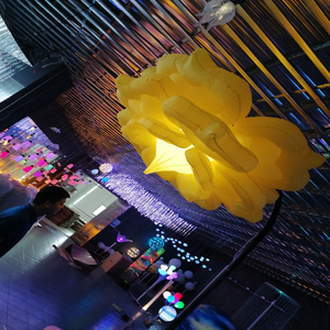 Lampes à pilier, gloire du matin, induction automatique, ouverture et fermeture mécaniques, lampe à fleurs interactive, éclairage paysager de roses - Product Image 4