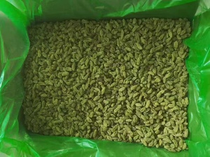 Raisins secs naturels en gros, fruits secs sans pépins, séchés au soleil, raisins sucrés en vrac pour les importateurs de l'industrie agroalimentaire - Product Image 6