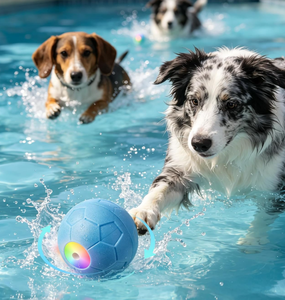 Nouvelle balle roulante intelligente en silicone moderne pour chien, activée par le mouvement, pour le nettoyage des dents, jouet interactif pour chiens, chats et petits animaux - Product Image 3