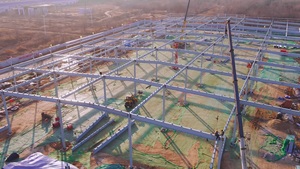 Thương mại trứng gà nhà thiết kế xây dựng kết cấu thép đổ cho gia cầm trang trại để bán - Product Image 4