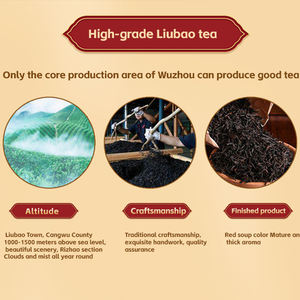 Vente en gros <span class=keywords><strong>de</strong></span> produits Thé chinois avec vitamines et L-théanine Thé <span class=keywords><strong>de</strong></span> <span class=keywords><strong>perte</strong></span> <span class=keywords><strong>de</strong></span> <span class=keywords><strong>poids</strong></span> approprié - Product Image 6