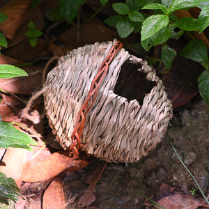 Nid d'oiseau tissé à la main en herbe, finition naturelle, taille moyenne, pour oiseaux, décoration de jardin - Product Image 3
