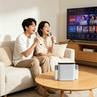 Haut-parleur karaoké domestique 30W, 5.3, double microphone sans fil, LED RGB, 4400mAh, type-c, prise en charge TF USB AUX, haut-parleur KTV portable