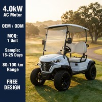 Carrito de Golf Eléctrico Tarion de 2 Plazas para Campos de Golf, Hoteles y Resorts, Motor de CA de 4kW, Suspensión MacPherson, Todoterreno, 30-50 km/h, 90 km de Autonomía