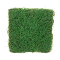 Mousses de K-0248 de haute qualité Panneaux muraux en mousse artificielle Panneaux verticaux pour plantes d'intérieur Mousse personnalisable