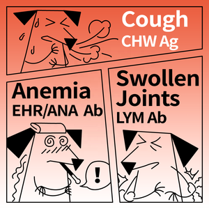 Teste Rápido Sabervet EHR/BG/ANA Ab Combo - Painel de Anticorpos para Doenças Transmitidas por Carrapatos |   Resultados em 10 Minutos |   OEM/ODM Disponível |   Uso Médico - Product Image 2