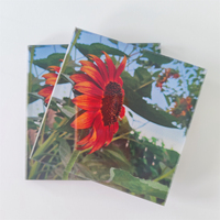 Impression UV personnalisée de haute qualité sur plaque acrylique, service d'impression photo sur feuille acrylique, vente chaude