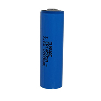 Batterie au lithium AA 3,6 V ER14505M 2600 mAh pour télécommandes et appareils électroniques grand public