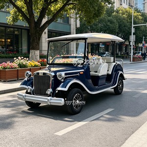 Nuevo Coche Eléctrico Turístico Vintage de 6 Plazas 2026 con Certificación CE, Alimentado por Batería de Litio, para Parques, Resorts y Lugares Turísticos - Product Image 6