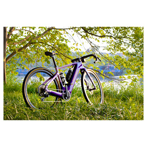 Vélo de Gravel Électrique Populaire à Moteur Central 250W 36V pour Adultes, Roues 700c, Freins à Disque Hydrauliques, VTT EGR-2 - Product Image 1