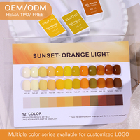Vernis à ongles liquide professionnel français, marque privée, sans HEMA, collection de vernis gel 12 couleurs, gel UV LED à retirer par trempage pour salon de manucure