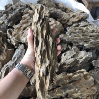 Roche de pierre d'os de dragon de couleur naturelle d'aquarium d'aménagement paysager brun pour aquarium