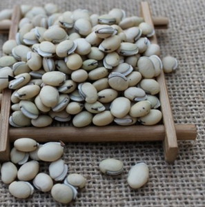 바이 비안 두 자연 생 건조 Dolichos lablab 정액 Dolichoris 앨범 화이트 히아신스 콩 추출하지 않음 - Product Image 5