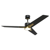 # Ventilateur de plafond décoratif moderne de style nordique avec lumière, télécommande, moteur CC, 52 pouces, lames en ABS, fabrication directe d'usine 2116, pour la maison et l'hôtel