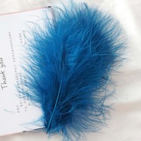 Plumes de confection de mouches, 20 couleurs disponibles, 100 pièces par sac