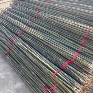 Petits piquets en bambou fins de 1,2 m pour le soutien des haricots, des concombres et des jeunes pousses de légumes dans le jardin - Product Image 2