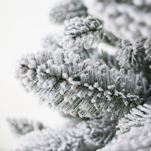 Cây thông Noel nhân tạo phủ tuyết giả cao cấp, kiểu dáng mới, chất liệu PE và PVC, kích thước 6FT, <span class=keywords><strong>7FT</strong></span>, 8FT, 9FT, 10FT, dùng trang trí nhà cửa trong nhà, bán buôn. - Product Image 5