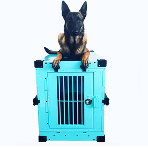 Grande <span class=keywords><strong>structure</strong></span> en aluminium de conception de cage de chien pour la vie confortable