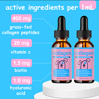 Complément alimentaire OEM en promotion pour soutenir la santé de la peau et des ongles, favoriser un pelage brillant, gouttes liquides de collagène pour chiens, 60 fl.