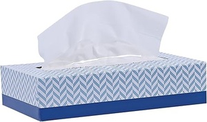Pañuelos faciales 2 capas 100 hojas/caja, suave y duradero, cajas planas de pañuelos faciales para negocios, hogar, oficina, tienda, Viajes - Product Image 3