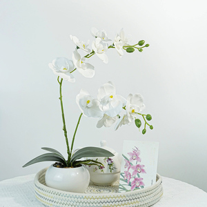 LE-28 Vente en gros de pot de fleurs en céramique 43cm 2 têtes Fleurs <span class=keywords><strong>d</strong></span>'orchidée artificielles au toucher réel pour mariage Saint-Valentin Nouvel An - Product Image 3