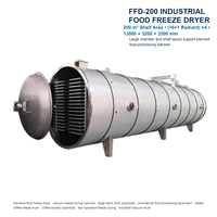 Industriële roestvrijstalen automatische vriesdroogmachinepomp FFD-50, grootschalige vacuümfrydrooginstallatie voor commerciële voedingsmiddelen en fruit
