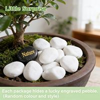 Galets décoratifs en pierre naturelle blanche neige 1,2-2 pouces, écologiques, durables, non toxiques, garantie 3 ans pour plantes d'intérieur, modernes