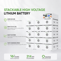 Module de batterie haute tension Sail Solar 51,2 V empilable pour système d'énergie solaire industrielle Ess