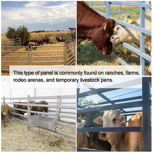 แผงรั้วม้าขายส่ง แผงรั้วฟาร์มโลหะชุบสังกะสี รั้วแบบรางสำหรับฟาร์ม แผงรั้วปรับระดับได้ - Product Image 5