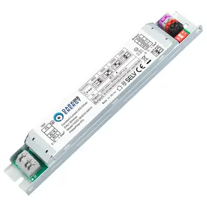 Factory Flicker Free Led Strip Driver 50w 60w Dali Constant Current 1000ma 900ma Power Supply