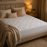 Matelas Queen à ressorts ensachés, compressé sous vide en boîte, idéal pour appartement, OEM