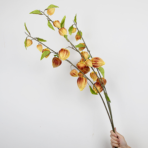 Bất động cảm ứng PU Physalis trang trí nội thất mùa thu nhân tạo CAPE Gooseberry thân cây cho nhà dàn dựng đám cưới trung tâm ảnh đạo cụ - Product Image 4