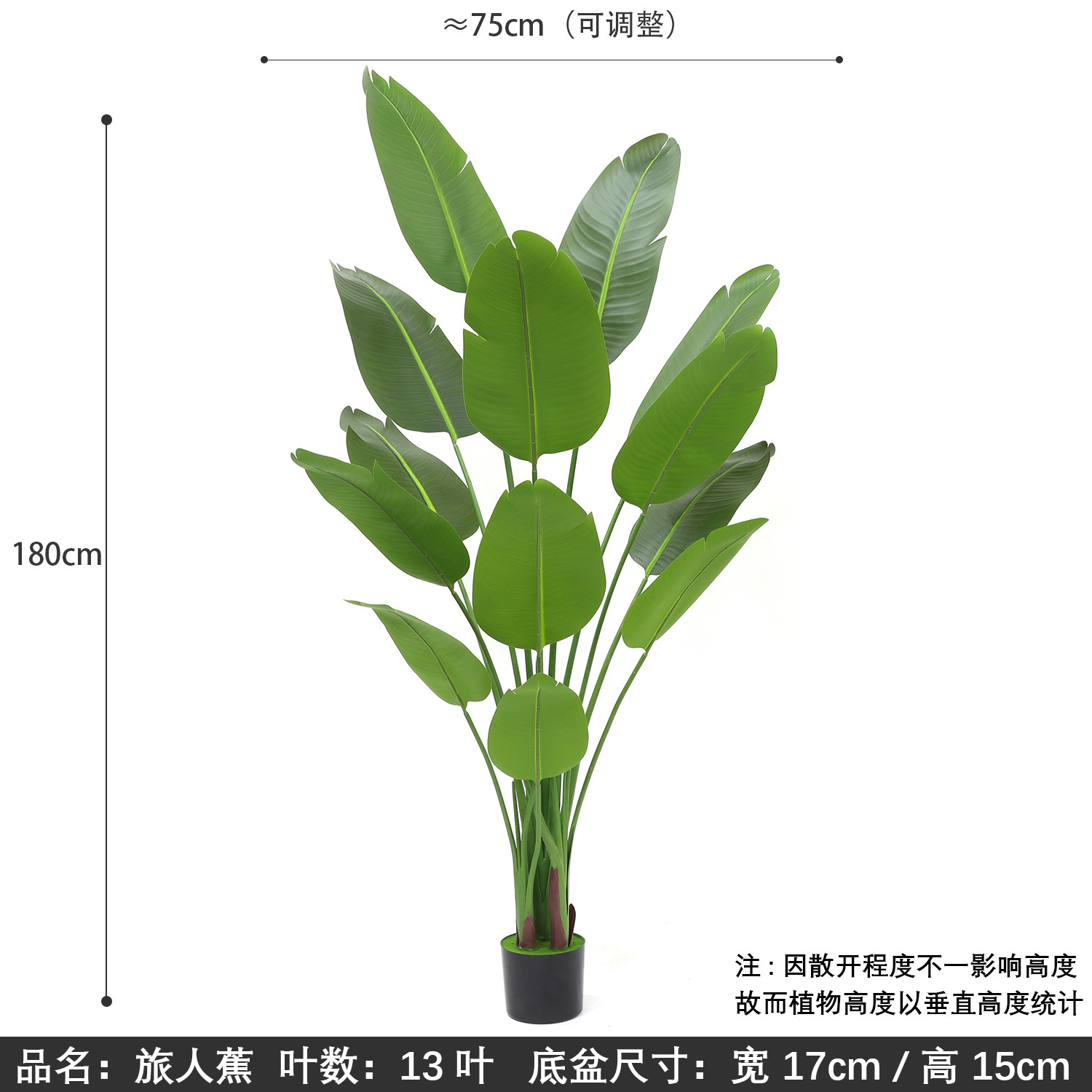 Banane voyageuse 190 cm