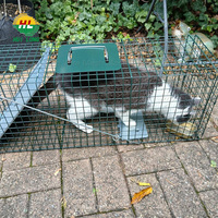 Piège à animaux vivants pliable à 2 portes avec trous carrés et service de découpe pour une lutte antiparasitaire haute efficacité