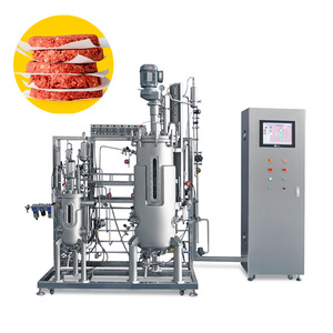 Máquina <span class=keywords><strong>de</strong></span> Fermentación Cónica INNOVA <span class=keywords><strong>de</strong></span> Acero Inoxidable SUS316L <span class=keywords><strong>de</strong></span> 5L-50L para Cultivo Microbiano <span class=keywords><strong>de</strong></span> Laboratorio con Control <span class=keywords><strong>de</strong></span> pH - Product Image 1