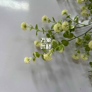 Plante Artificielle Verte, Fruit Jaune Vert, Décoration de Mariage et d'Hôtel - Product Image 2