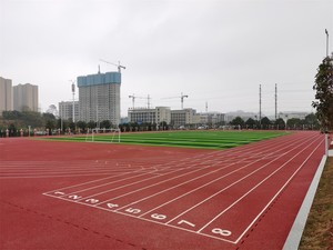 Thanh Châu Tùy Chỉnh Phun Lớp Phủ Cao Su Tổng Hợp Tartan Chạy Theo Dõi Cho Trong Nhà/Ngoài Trời Thể Thao Sử Dụng - Product Image 6