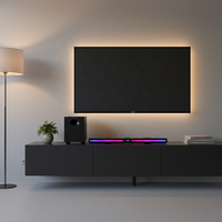 Barre de son OEM pour TV, système home cinéma 80W BT, radio, caisson de basses passif 6,5 pouces, 2 haut-parleurs, lumières colorées