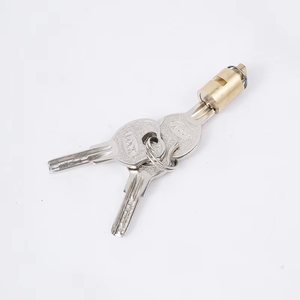 Feihuan Factory's Wholesale High Quality Brass Cylinder Locks Custom Batch Must Be <strong>Safe</strong> and Keyless Economically Priced - Product Image 2