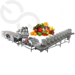 500kg/h Bubble Type Blueberry Strawberry Fruit and Vegetables Washing and Drying Machine