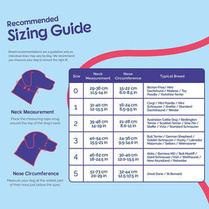 <span class=keywords><strong>Collar</strong></span> de cabeza de perro superventas para dejar de tirar de la correa, banda de nariz acolchada, ayuda profesional de entrenamiento antitracción para perros medianos - Product Image 3