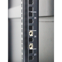 Armoire serveur 42U, bonne dissipation thermique pour les centres de données IA et cloud, compatible avec l'informatique IA