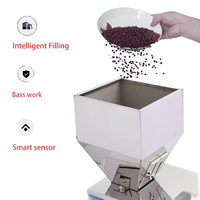 Machines personnalisables d'emballage et de scellage de sachets de glaçons automatiques de 1kg 5kg 10kg de type étanche pour petites entreprises