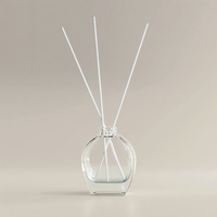 Bouteilles diffuseurs de parfum en verre personnalisées sur mesure, forme spéciale, écologiques, durables, 50 à 300 ml, vides, pour aromathérapie, couleurs et logos