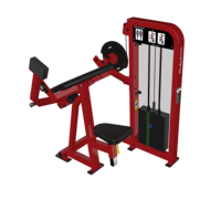 Équipement de gymnastique commerciale pour adultes, pour Extension triceps, avec panier de poids, chargée par broches