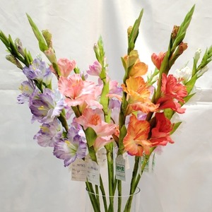Kewei <span class=keywords><strong>T809</strong></span> Nhà Cung Cấp Vàng Bất Cảm Ứng Gladiolus Nhân Tạo Hoa Trung Tâm Đám Cưới Sang Trọng Cho Khách Sạn Tổ Chức Sự Kiện Hiển thị - Product Image 1