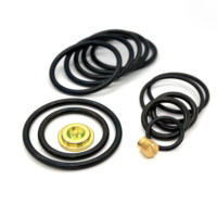 Kits de réparation OEM personnalisés DWS 3 5/8 COMPACT avec joints toriques NBR, pièces de rechange résistantes aux hautes températures, à commande manuelle, pour le service en Amérique du Nord