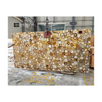 Panneau mural de douche de luxe en agate de cristal brun naturel translucide au design rétroéclairé unique