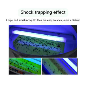 Usine directe En stock Piège à mouches solide jaune Piège à panneau de bâton de lampe pour fourmis Termites Mites Catégorie de lutte antiparasitaire - Product Image 5